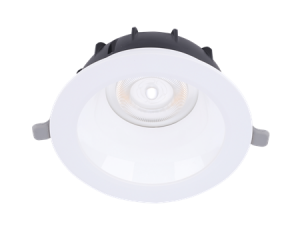 LED Downlight Performer MW – Epic Energy